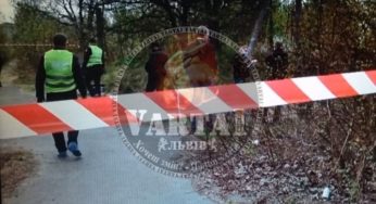 У Львові дівчина з собакою натрапила на тіло жінки з проломленою головою
