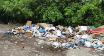 На Львівщині місто перетворилося на звалище відходів: “Скоро перекриють дорогу сміттям”