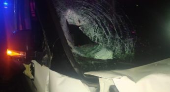 На трасі “Ковель − Київ” п’яний водій вбив 13-річну дитину, ще один підліток у лікарні