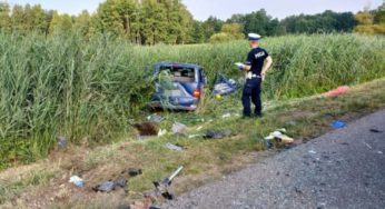 У Польщі загинув ще один українець з автобуса, в який в’їхала п’яна водійка