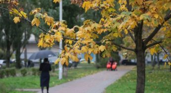 Холодяку в Україні скоро доповнять зливи: синоптик назвала дату