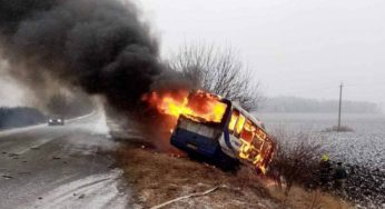 Водій згорів заживо: після ДТП спалахнув пасажирський автобус (фото, відео)