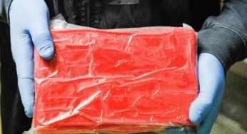 Європейський рекорд: в Італії поліція конфіскувала понад 4 тонни кокаїну