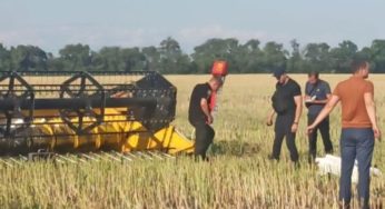 Загадкова загибель: на Дніпропетровщині на рапсовому полі знайшли тіло дитини (фото)